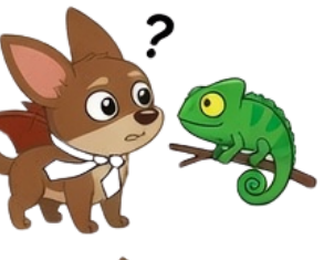 Ali meeting a chameleon